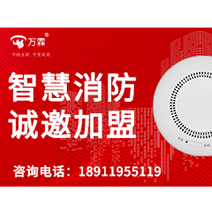 Allwinner Android TV stick Implementation Case: Wanlin Source Factory Solutions for International Ma